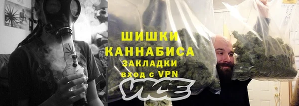 мдпв Елабуга