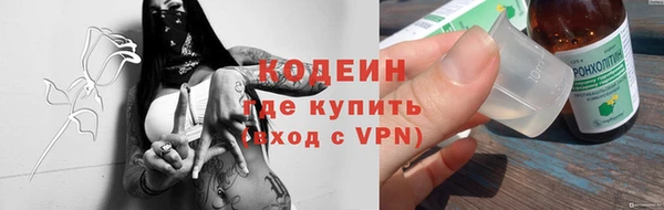 мдпв Елабуга
