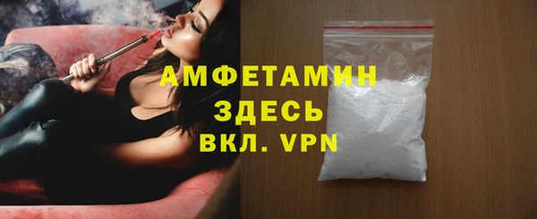 мдпв Елабуга