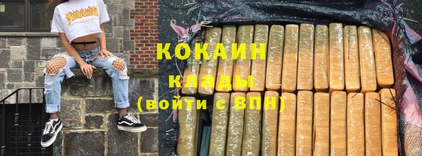 мдпв Елабуга