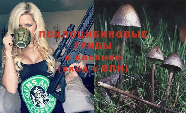 мдпв Елабуга