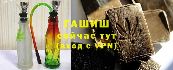 мдпв Елабуга