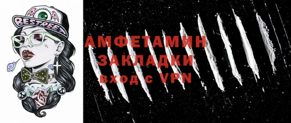 мдпв Елабуга