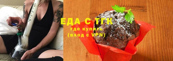 мдпв Елабуга