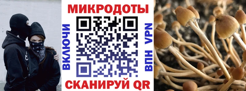 где можно купить   Ачинск  Псилоцибиновые грибы прущие грибы 